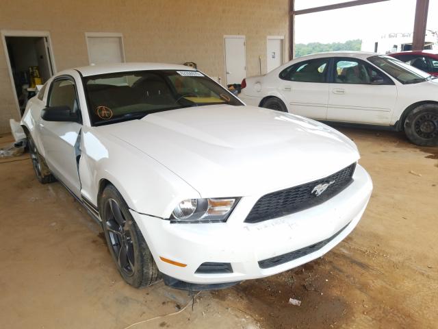 FORD MUSTANG 2010 1zvbp8an7a5133367