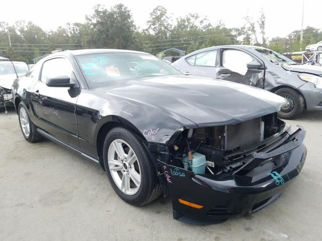 FORD MUSTANG 2010 1zvbp8an7a5133384