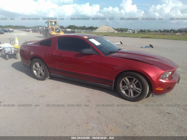 FORD MUSTANG 2010 1zvbp8an7a5135488