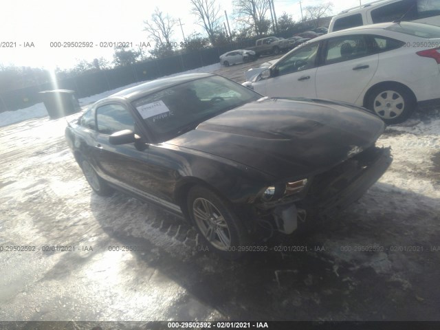 FORD MUSTANG 2010 1zvbp8an7a5135653