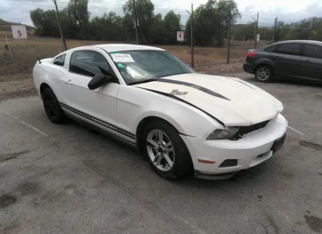 FORD MUSTANG 2010 1zvbp8an7a5135779