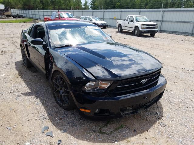 FORD MUSTANG 2010 1zvbp8an7a5136883