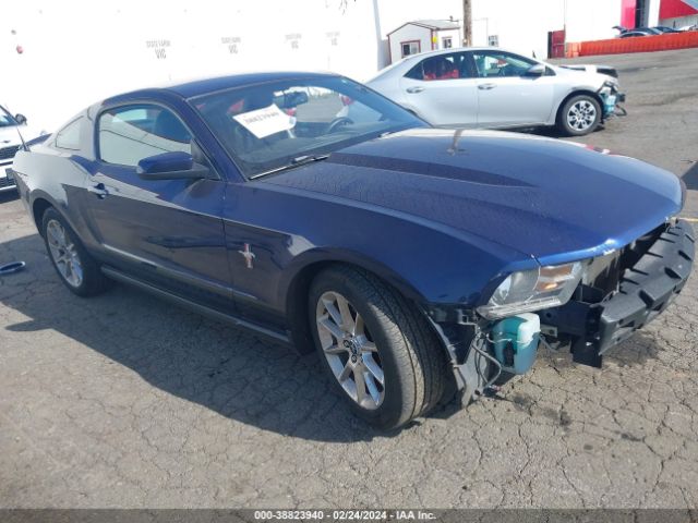 FORD MUSTANG 2010 1zvbp8an7a5137130