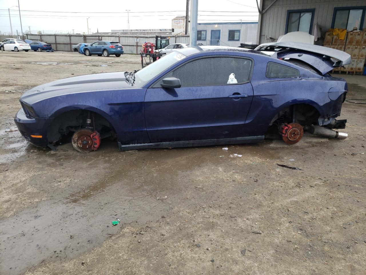 FORD MUSTANG 2010 1zvbp8an7a5137239