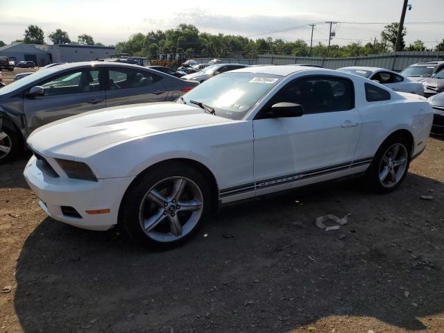 FORD MUSTANG 2010 1zvbp8an7a5138469