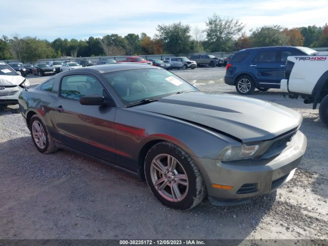 FORD MUSTANG 2010 1zvbp8an7a5138536