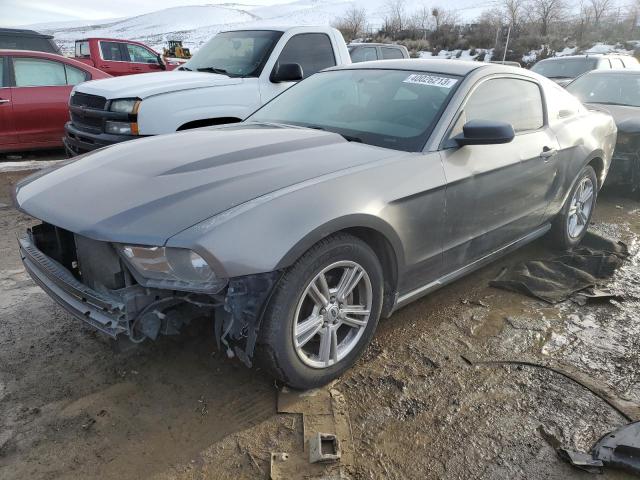 FORD MUSTANG 2010 1zvbp8an7a5141162