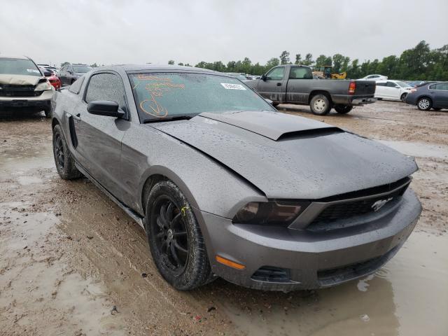 FORD MUSTANG 2010 1zvbp8an7a5141517