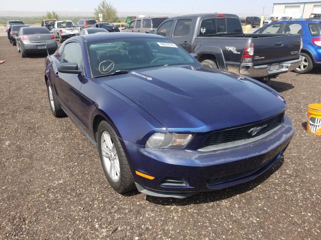 FORD MUSTANG 2010 1zvbp8an7a5143669