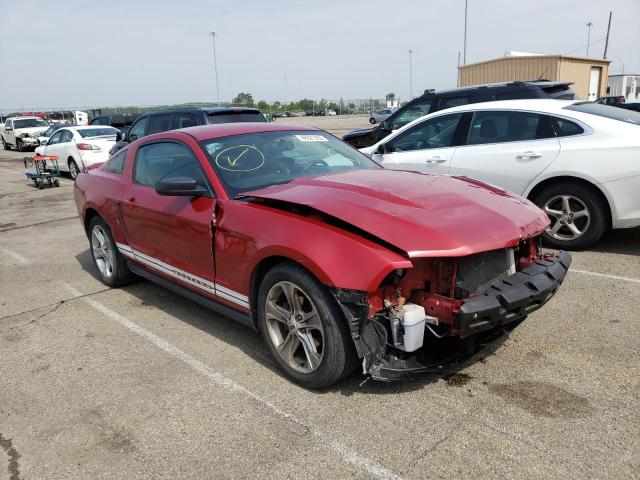 FORD MUSTANG 2010 1zvbp8an7a5145714