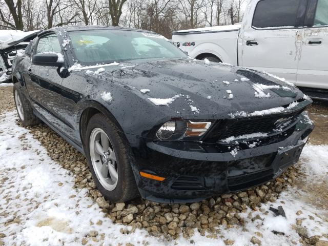 FORD MUSTANG 2010 1zvbp8an7a5151898