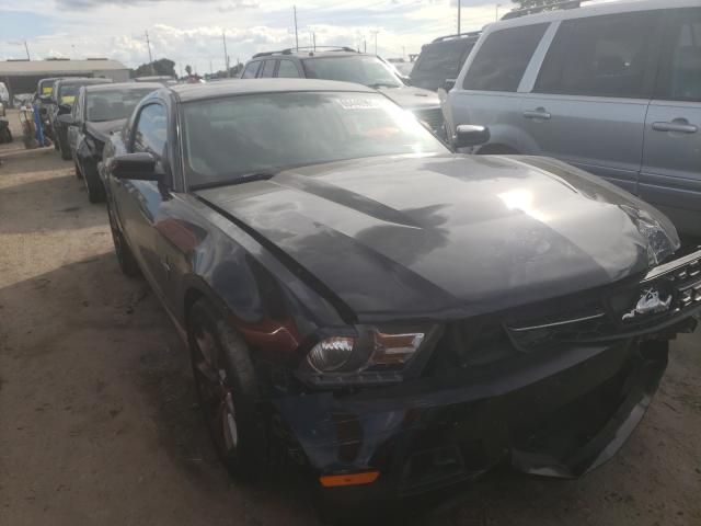 FORD MUSTANG 2010 1zvbp8an7a5152694