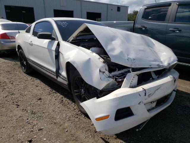 FORD MUSTANG 2010 1zvbp8an7a5154350