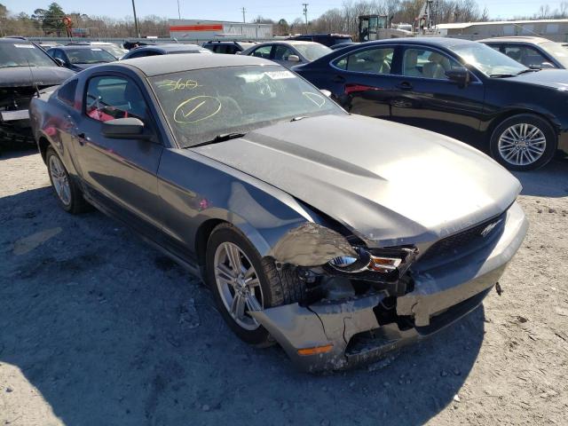 FORD MUSTANG 2010 1zvbp8an7a5154526