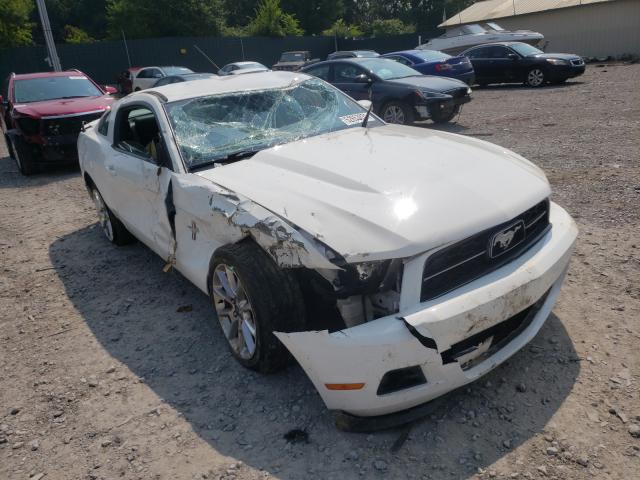 FORD MUSTANG 2010 1zvbp8an7a5161640