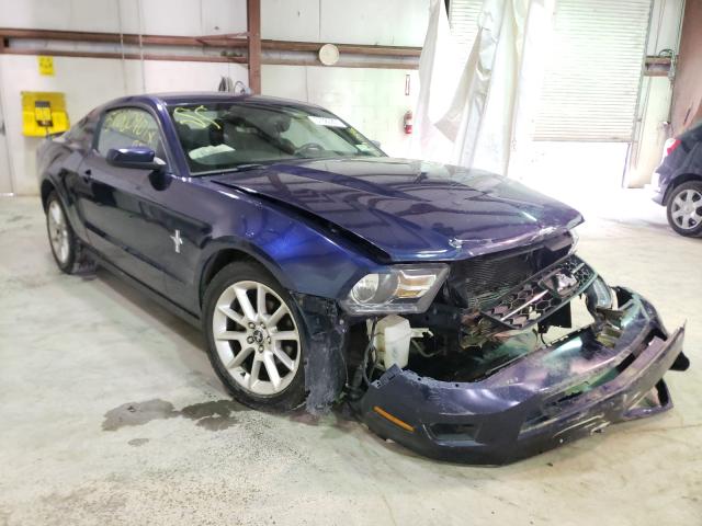 FORD MUSTANG 2010 1zvbp8an7a5164134