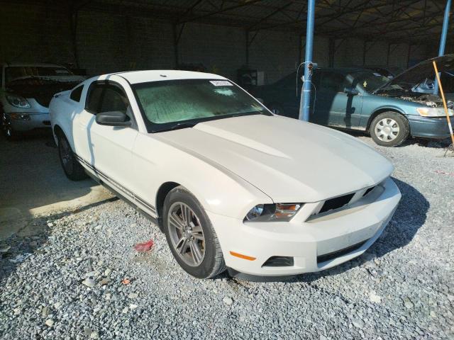 FORD MUSTANG 2010 1zvbp8an7a5173657