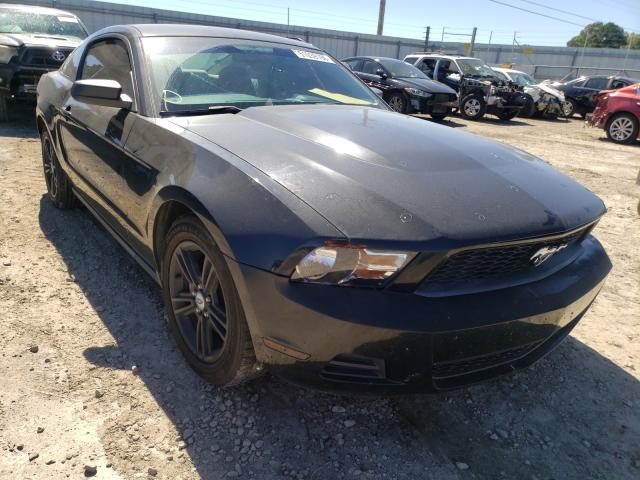 FORD MUSTANG 2010 1zvbp8an7a5175280