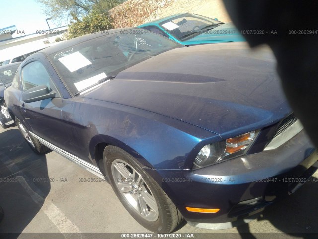 FORD MUSTANG 2010 1zvbp8an8a5100782