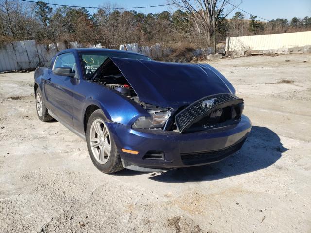 FORD MUSTANG 2010 1zvbp8an8a5101740