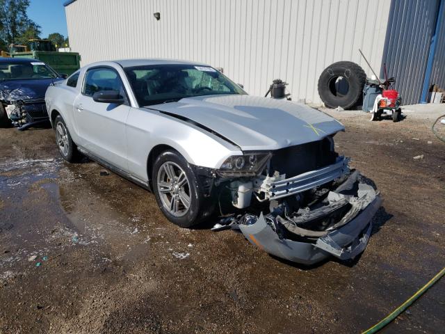 FORD MUSTANG 2010 1zvbp8an8a5104640