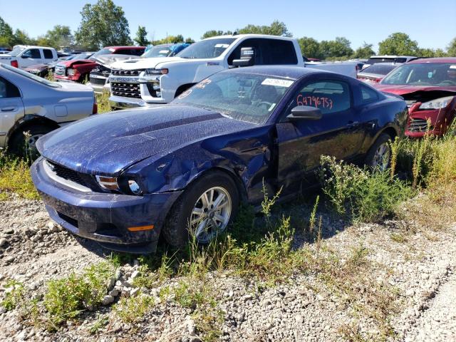 FORD MUSTANG 2010 1zvbp8an8a5104976