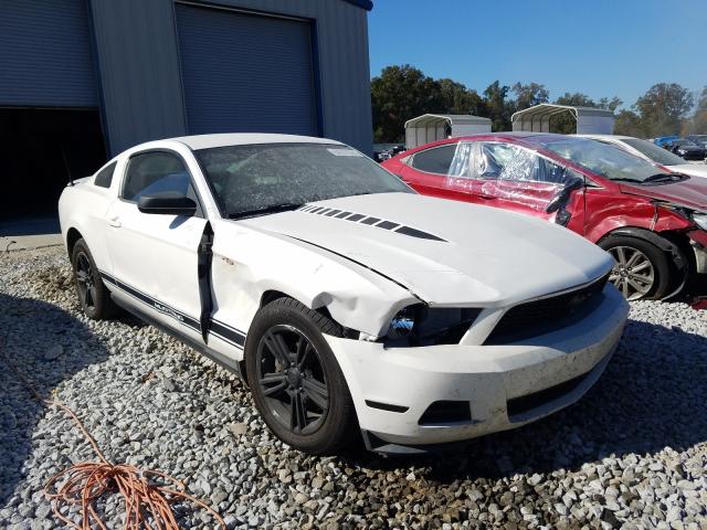 FORD MUSTANG 2010 1zvbp8an8a5106257