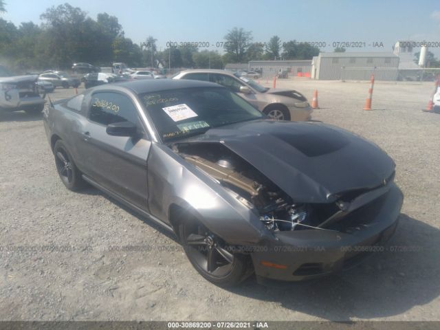 FORD MUSTANG 2010 1zvbp8an8a5106968