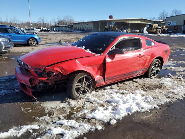 FORD MUSTANG 2010 1zvbp8an8a5107974