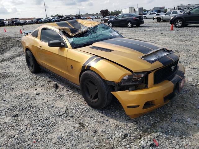 FORD MUSTANG 2010 1zvbp8an8a5108722