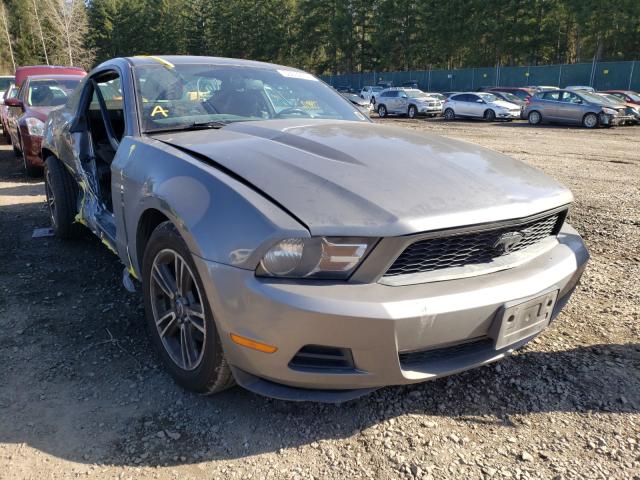 FORD MUSTANG 2010 1zvbp8an8a5108736