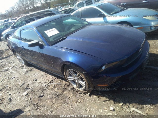 FORD MUSTANG 2010 1zvbp8an8a5110342