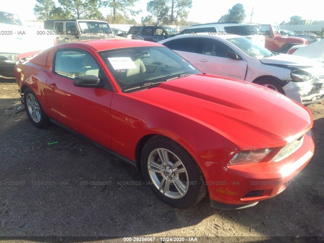 FORD MUSTANG 2010 1zvbp8an8a5112737