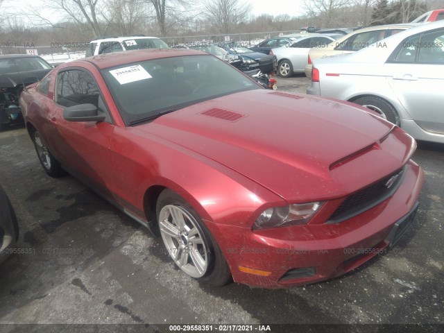 FORD MUSTANG 2010 1zvbp8an8a5116853