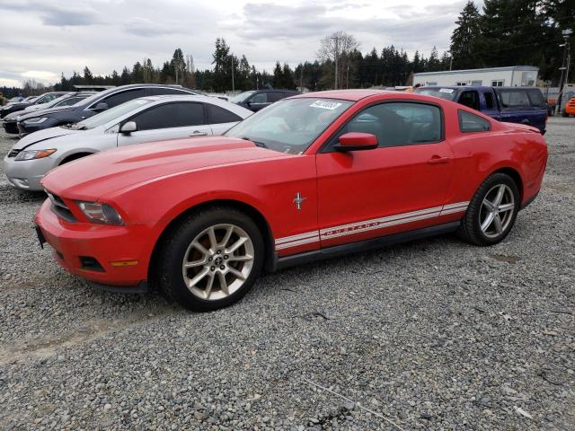 FORD MUSTANG 2010 1zvbp8an8a5117145