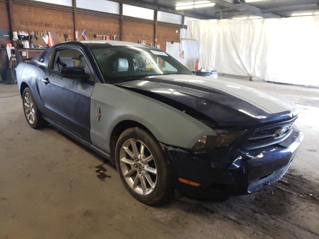 FORD MUSTANG 2010 1zvbp8an8a5124435