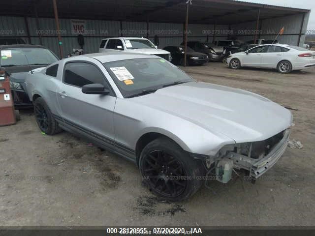 FORD MUSTANG 2010 1zvbp8an8a5125049