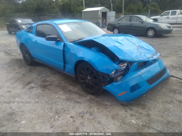 FORD MUSTANG 2010 1zvbp8an8a5126380