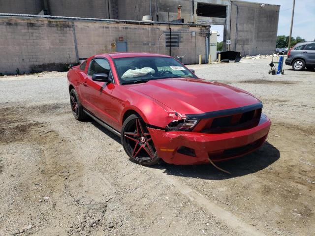 FORD MUSTANG 2010 1zvbp8an8a5129036