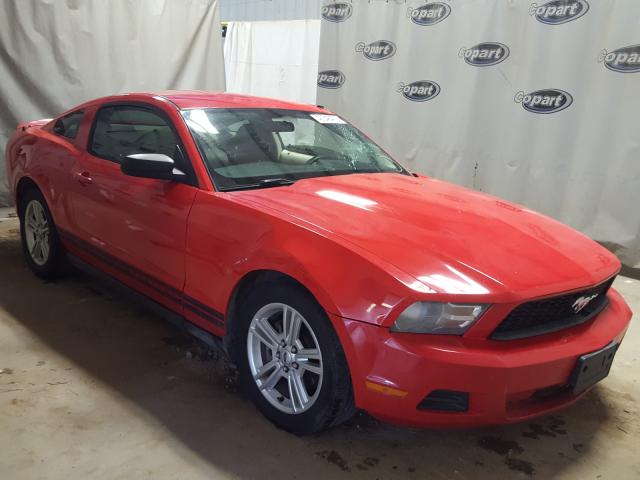 FORD MUSTANG 2010 1zvbp8an8a5131109