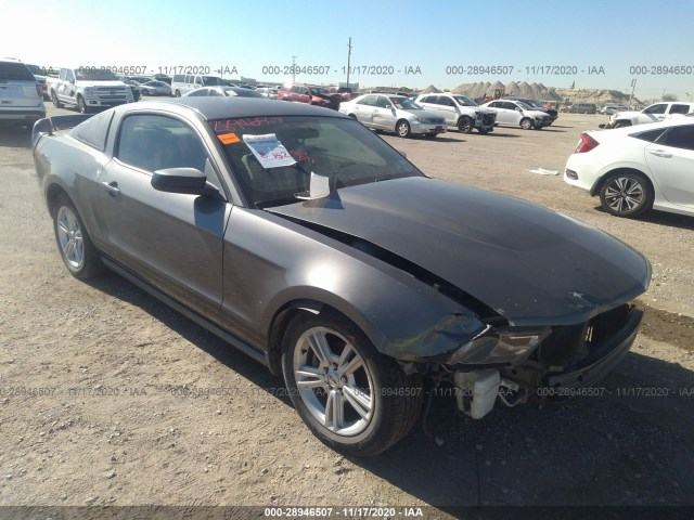 FORD MUSTANG 2010 1zvbp8an8a5131255