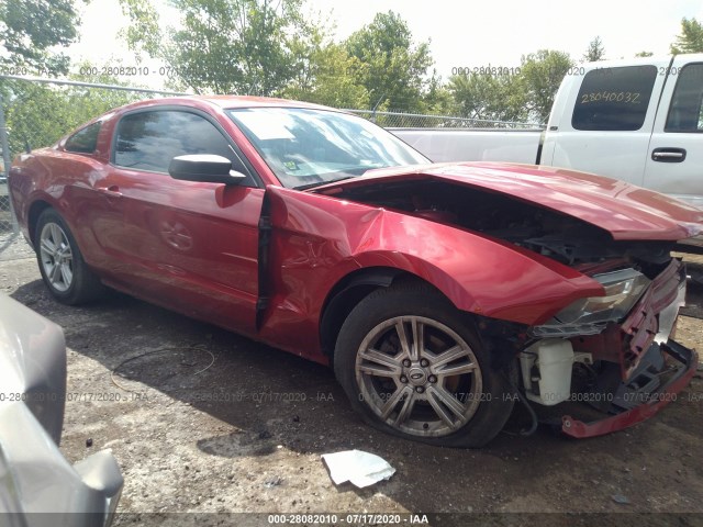 FORD MUSTANG 2010 1zvbp8an8a5131689