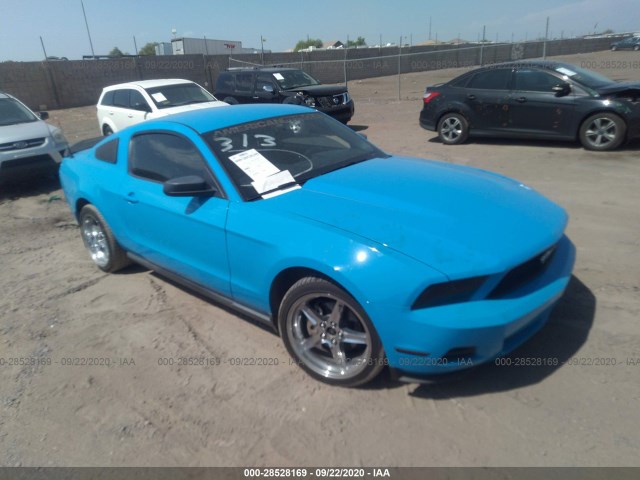 FORD MUSTANG 2010 1zvbp8an8a5134673