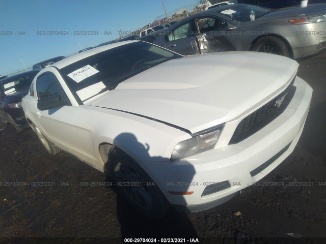 FORD MUSTANG 2010 1zvbp8an8a5134771