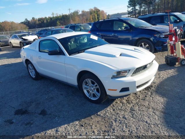 FORD MUSTANG 2010 1zvbp8an8a5135435