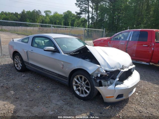 FORD MUSTANG 2010 1zvbp8an8a5135709