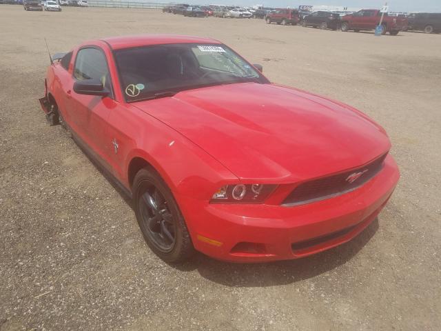 FORD MUSTANG 2010 1zvbp8an8a5136326