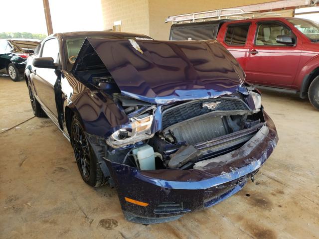 FORD MUSTANG 2010 1zvbp8an8a5137606