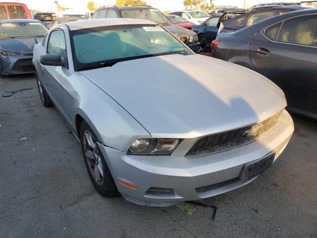 FORD MUSTANG 2010 1zvbp8an8a5138853