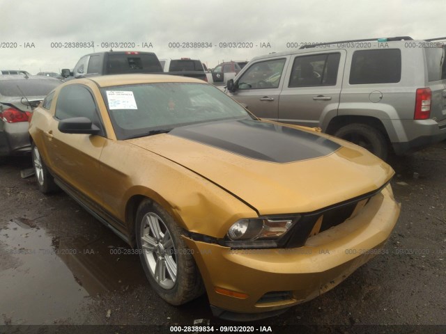 FORD MUSTANG 2010 1zvbp8an8a5147942